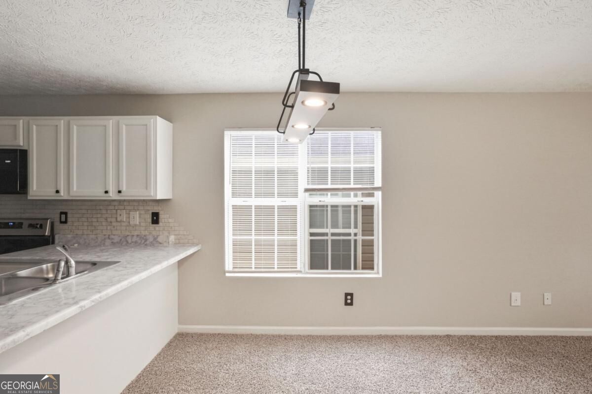 923 Carlton Pointe TER