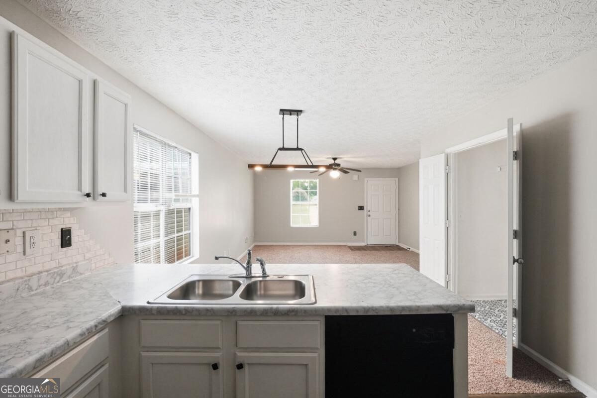 923 Carlton Pointe TER