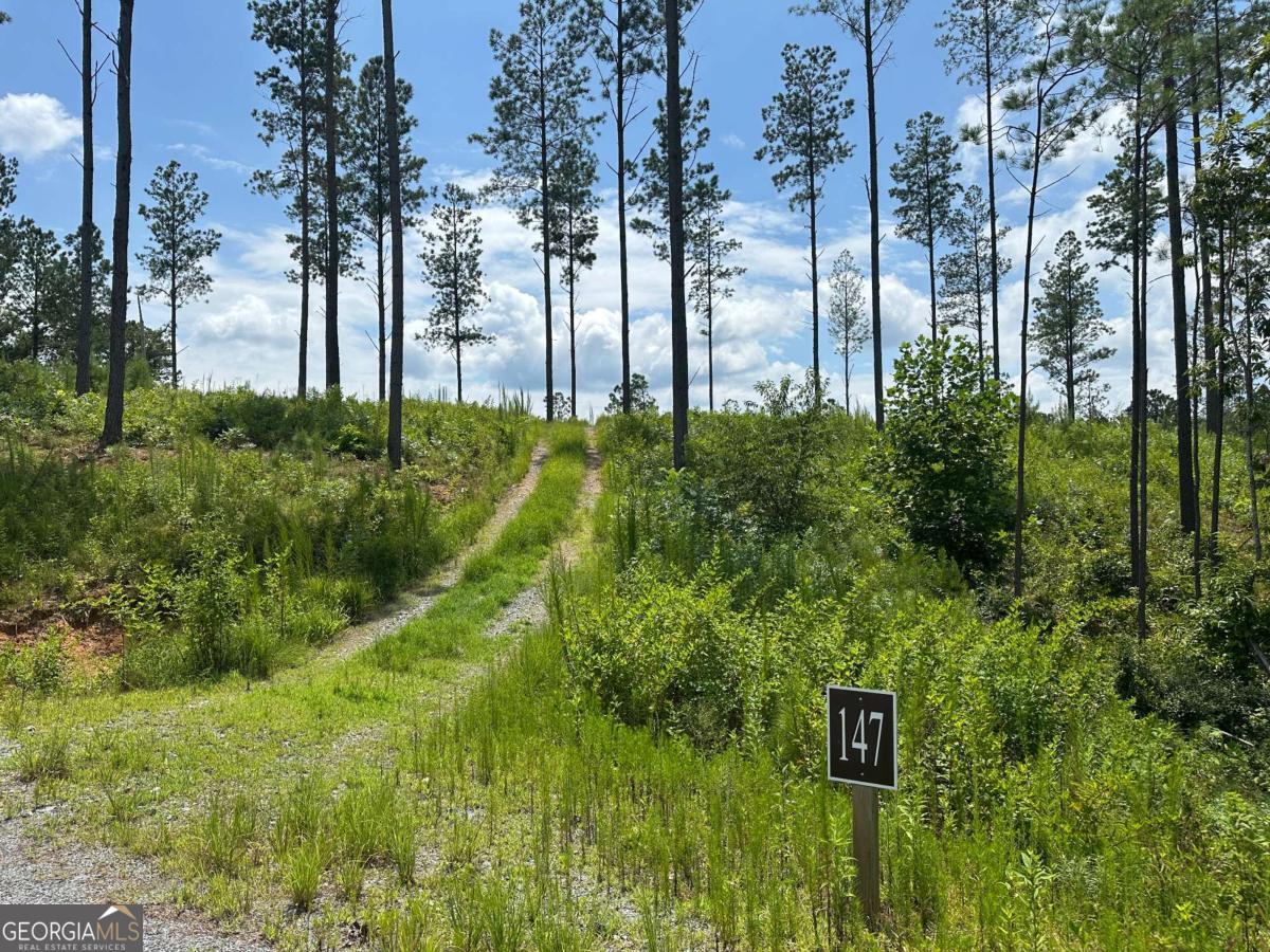 Welcome to this beautiful 3.69-acre mountain lot! With a beautiful knoll, there is plenty of level building space for your dream mountain home with serene views. Creekside Crossing is a prestigious gated community offering a range of adventurous and relaxing amenities. Enjoy the inviting open-air clubhouse, which leads to a luxurious infinity pool with stunning mountain views. The community also features a creekside fire pit with an outdoor pavilion and trails for walking, hiking, and ATV riding. Covenants in place to protect your investment. Don't miss the opportunity to make this exquisite piece of land your own!