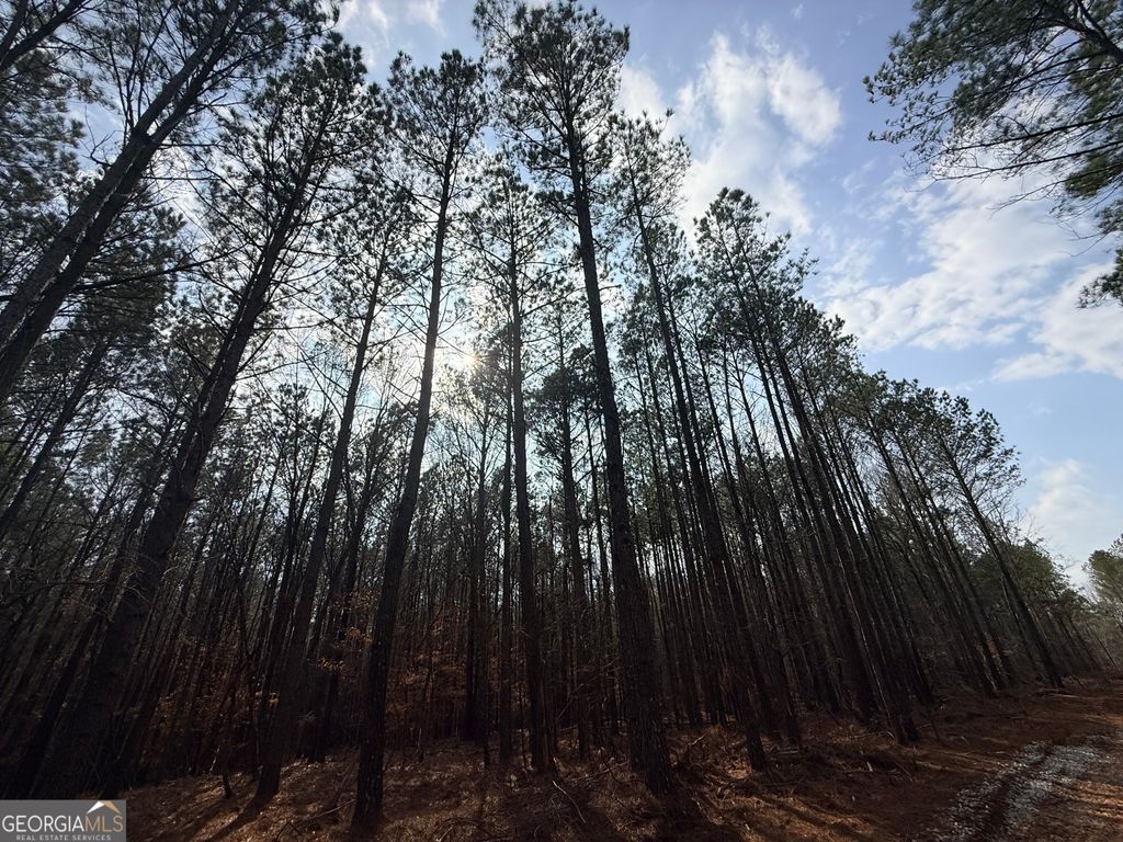 Photo of 12 Cedar Creek Extension, Elberton, GA 30635 (MLS # 10695028)