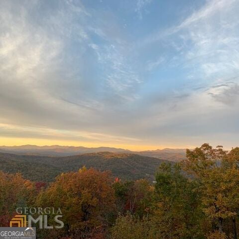 990 Hickory Nut MTN