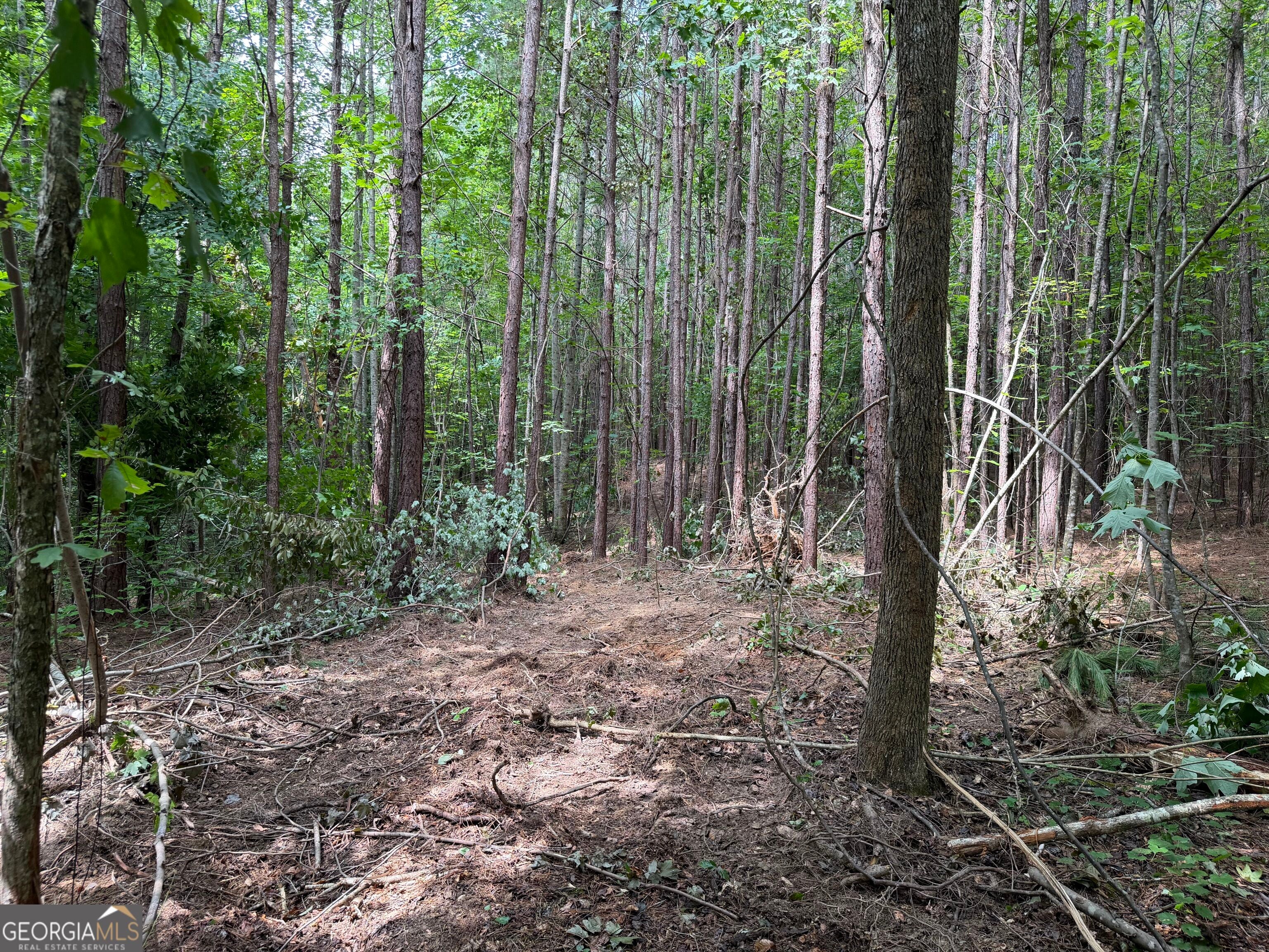 0 County Road 87 5