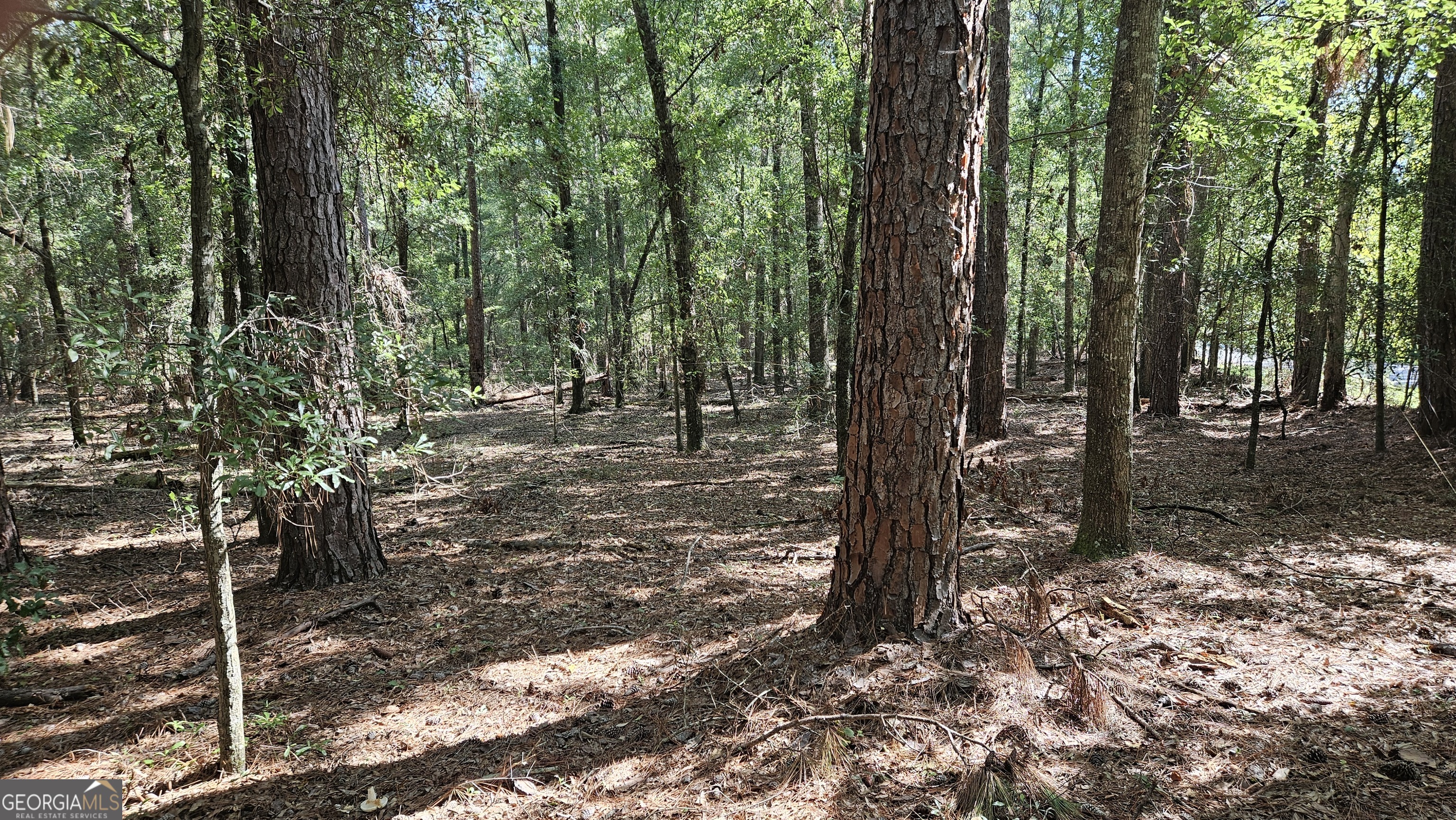 Sylvania, Georgia 30467, United States, ,Land,Pending,205813