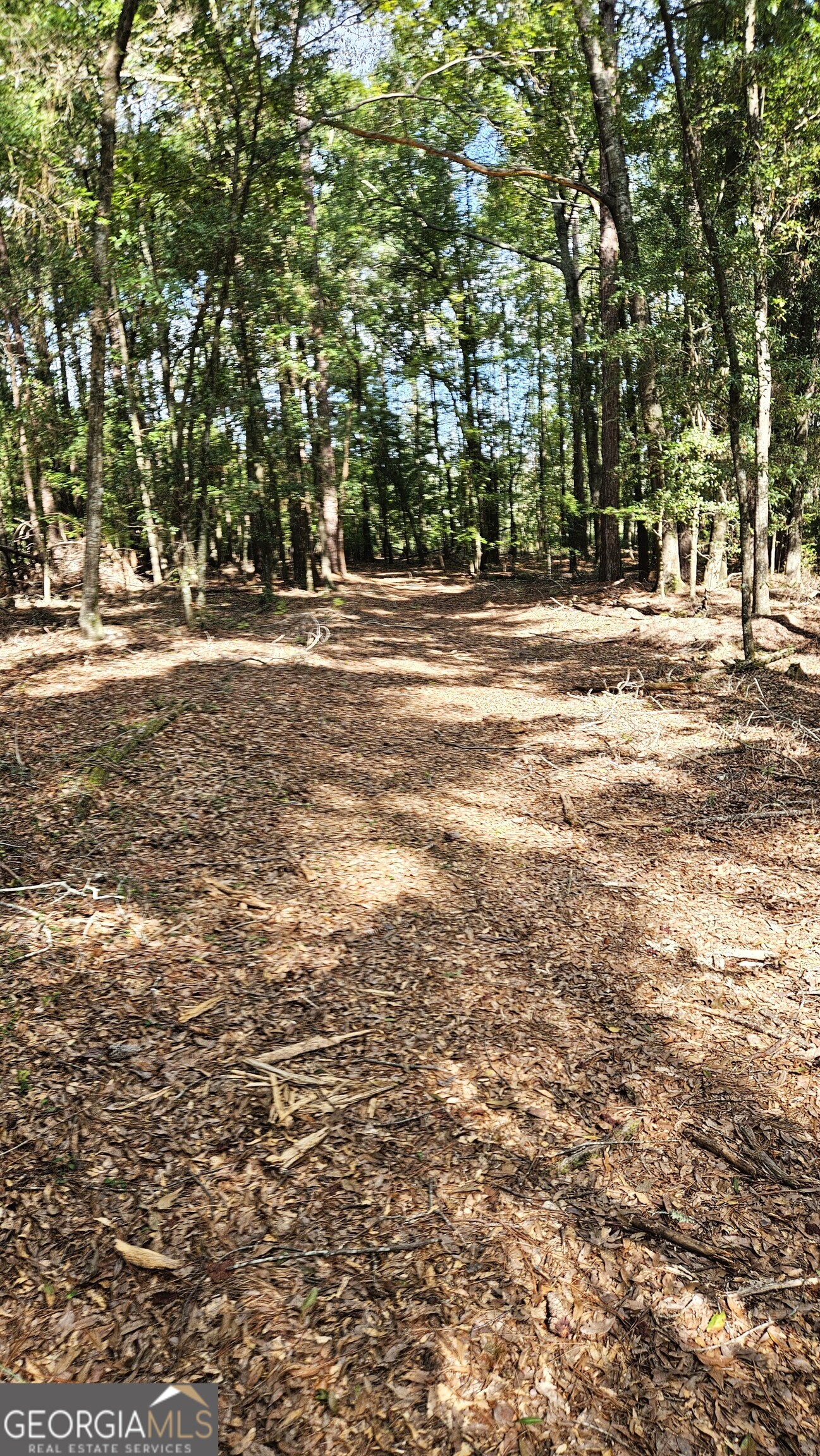 Sylvania, Georgia 30467, United States, ,Land,Pending,205813