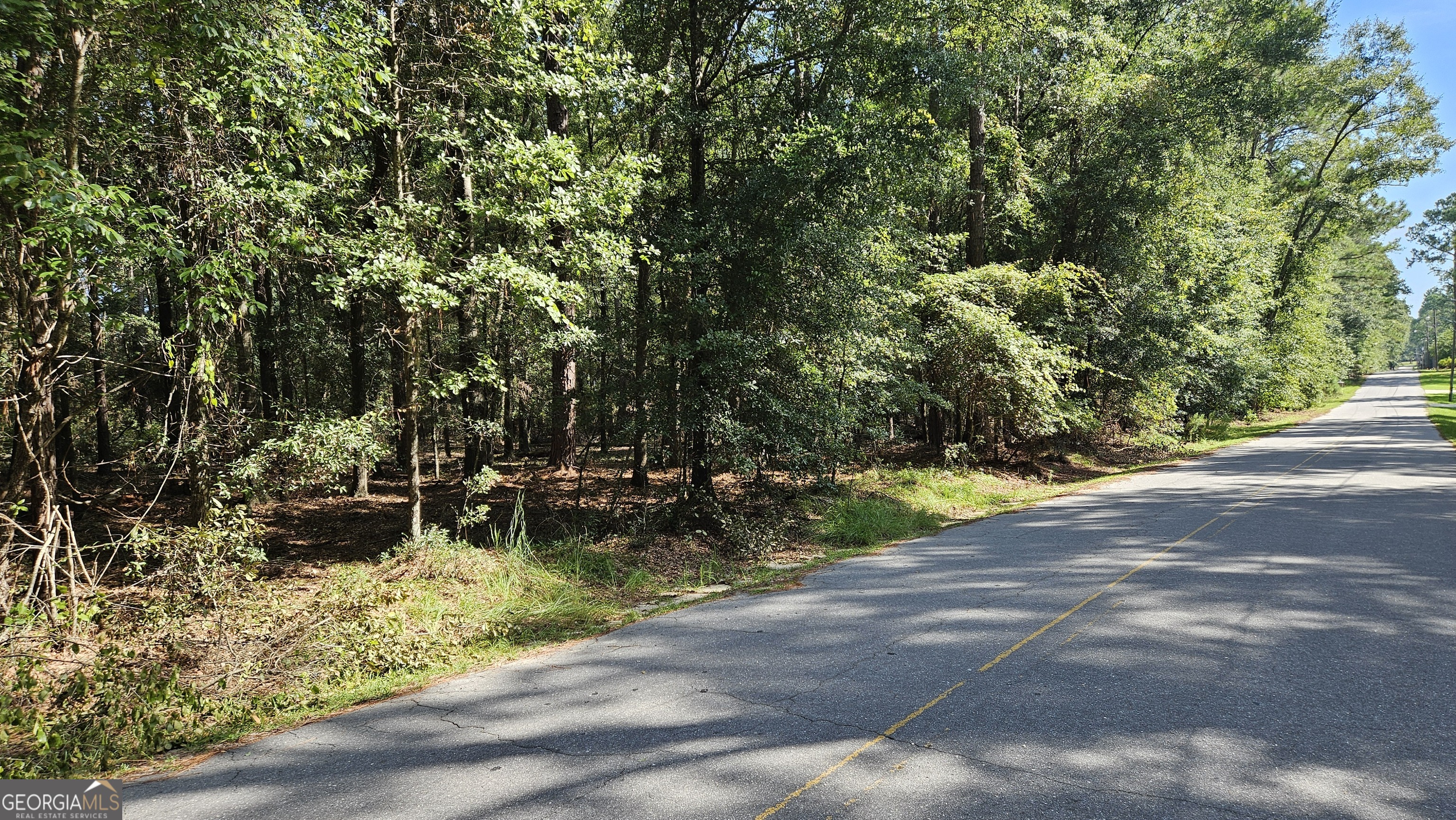 Sylvania, Georgia 30467, United States, ,Land,Pending,205813