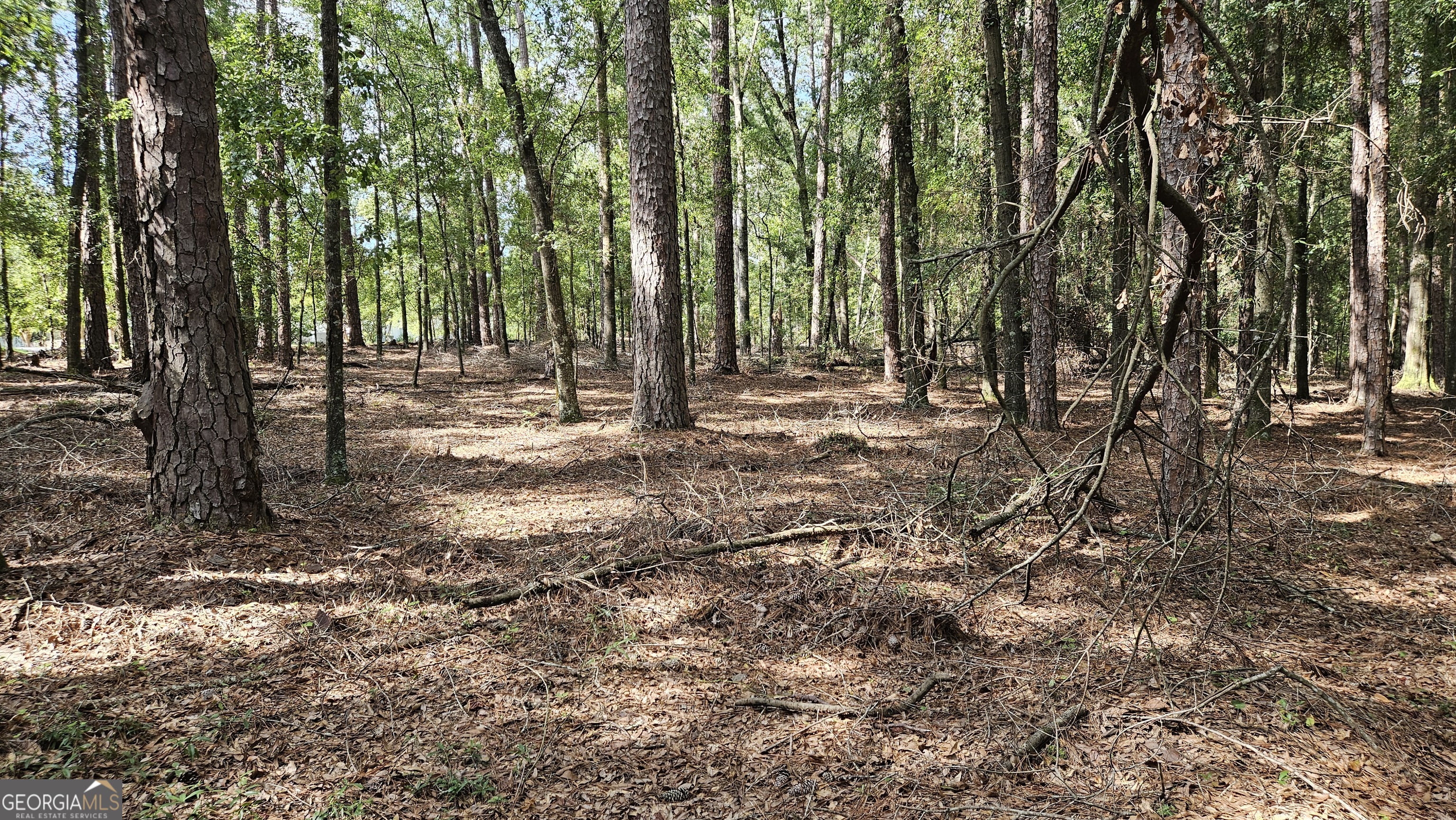 Sylvania, Georgia 30467, United States, ,Land,Pending,205813