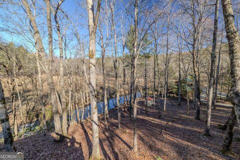 A home in Blue Ridge