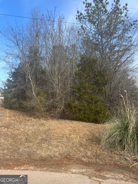 198 Gregory DR Martin GA 30557