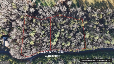 Photo of 10 Gold Ditch Road, Cleveland, GA 30528 (MLS # 10846166)