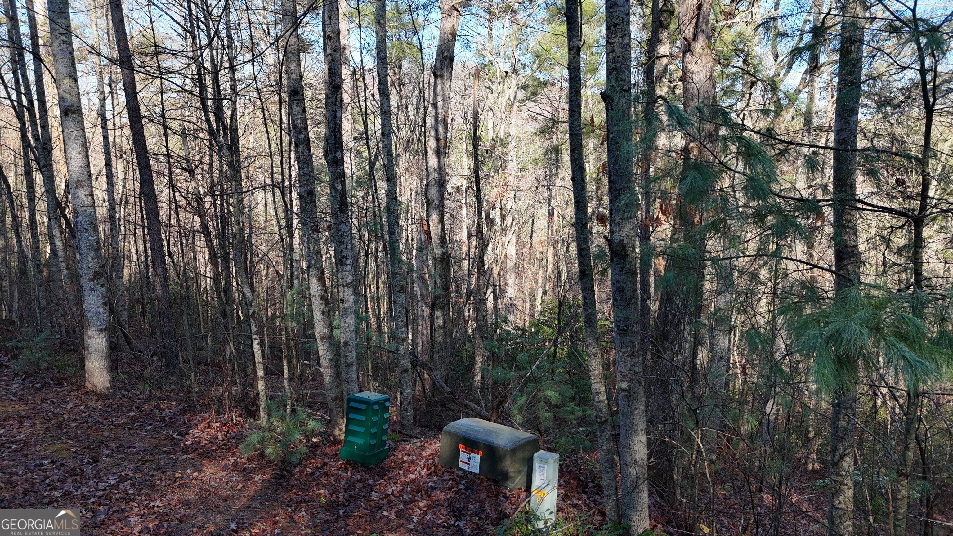 LOT 10 Gold Ditch RD
