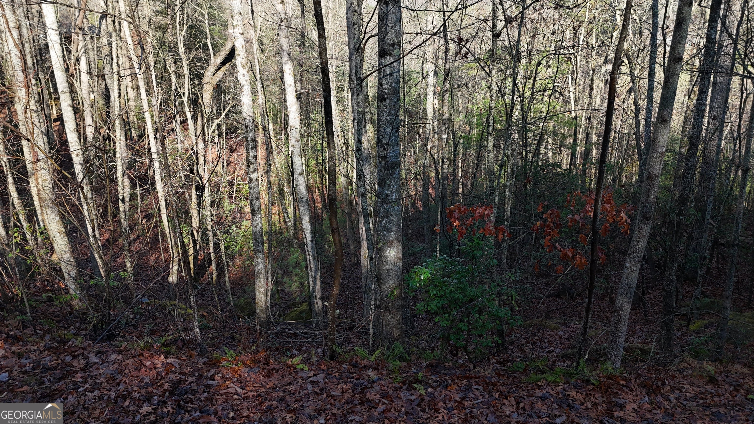 LOT 10 Gold Ditch RD