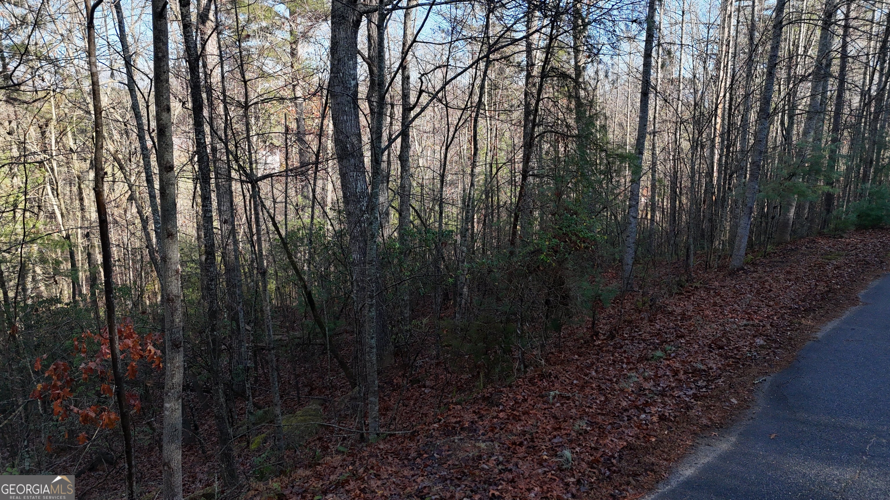 LOT 10 Gold Ditch RD