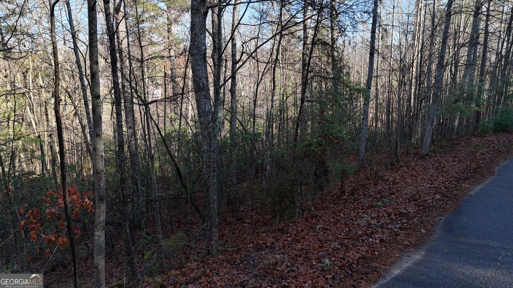 Photo of 10 Gold Ditch Road, Cleveland, GA 30528 (MLS # 10846166)