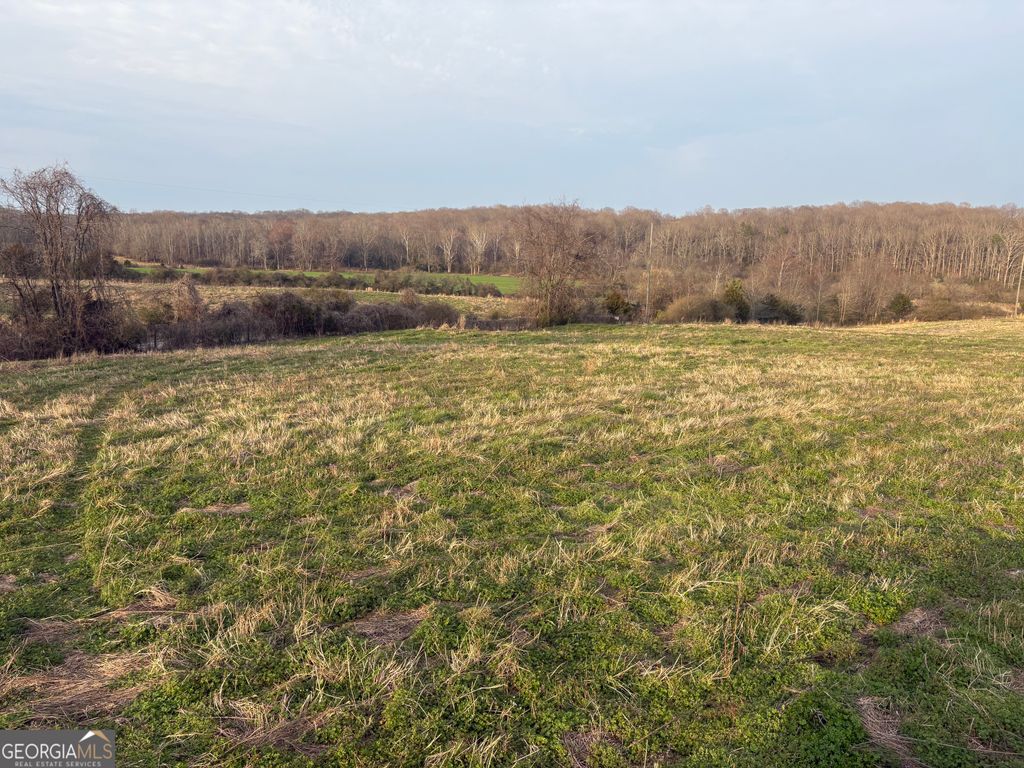 Photo of 18 W L Williams, commerce, GA 30530 (MLS # 10704517)