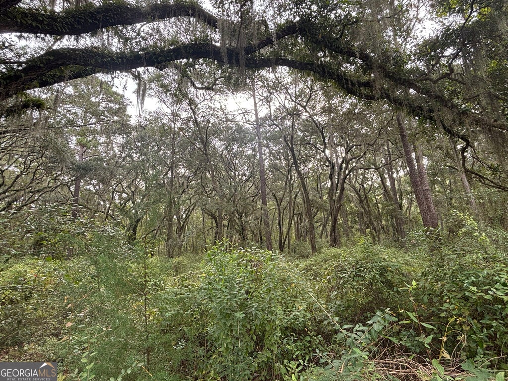 Photo of 4 Carnochan Ln., Darien, GA 31305 (MLS # 10870420)