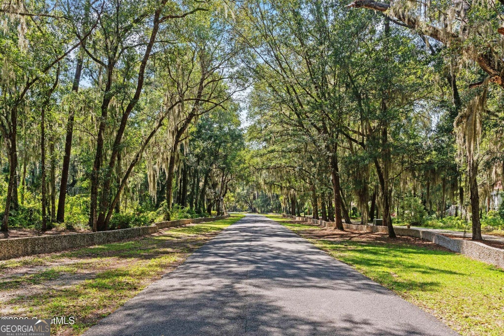 Photo of 4 Carnochan Ln., Darien, GA 31305 (MLS # 10870420)
