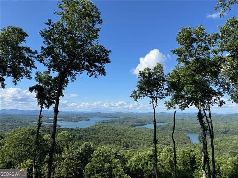 Photo of 970 Lakeview Drive, Blue Ridge, GA 30513 (MLS # 10832777)