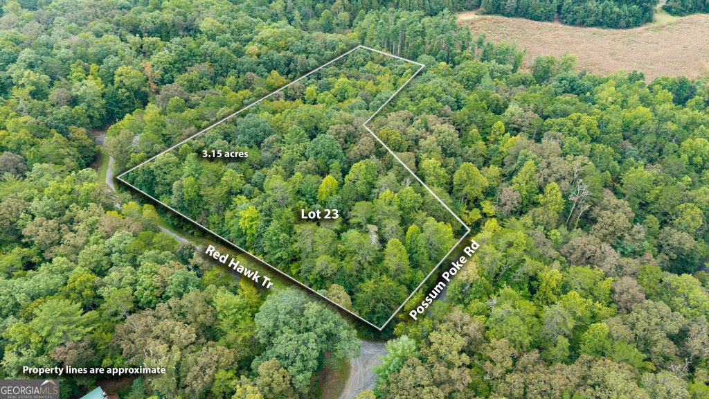 Photo of 23 Possum Poke Road, Ellijay, GA 30536 (MLS # 10854065)