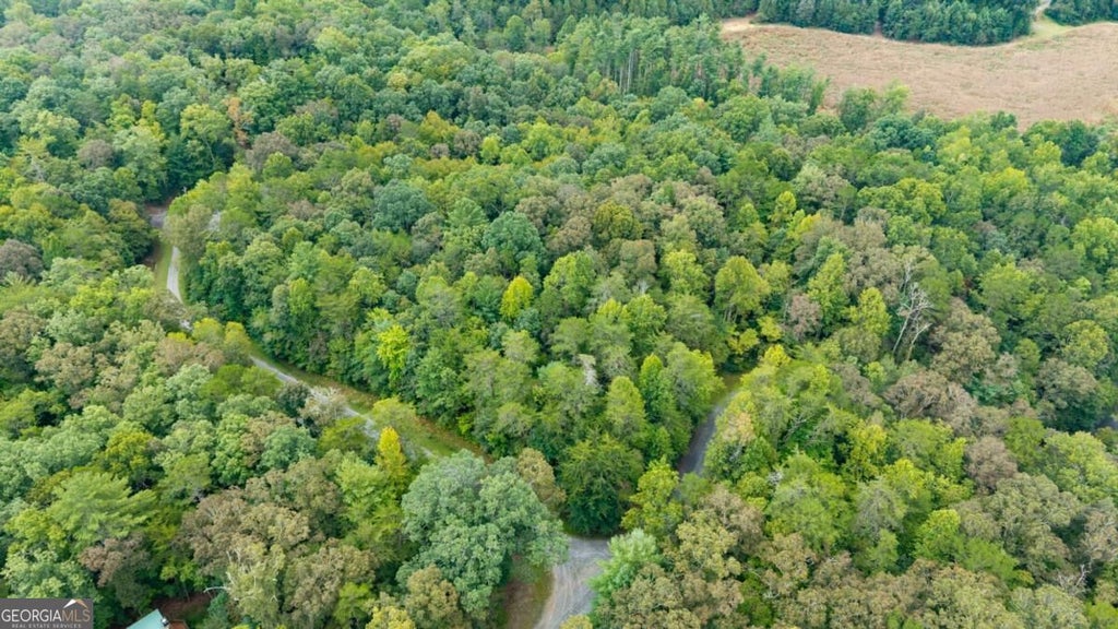 Photo of 23 Possum Poke Road, Ellijay, GA 30536 (MLS # 10854065)