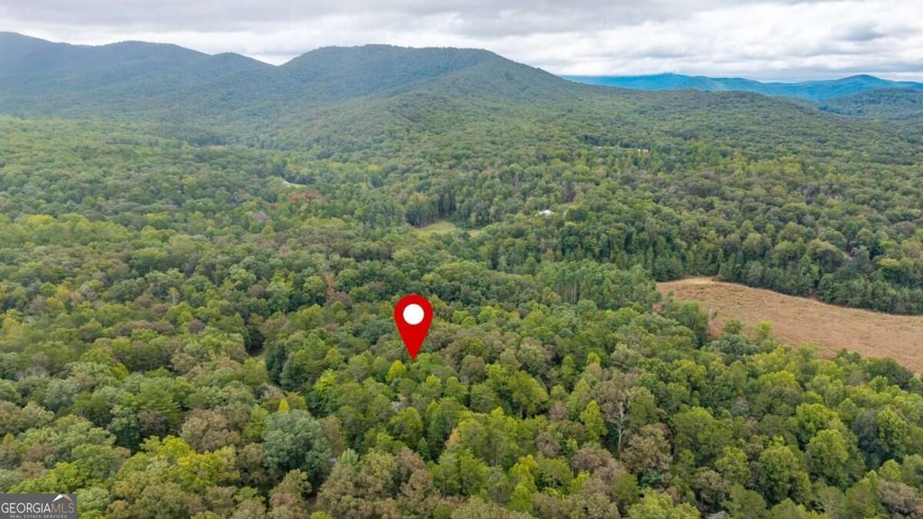 Photo of 23 Possum Poke Road, Ellijay, GA 30536 (MLS # 10854065)