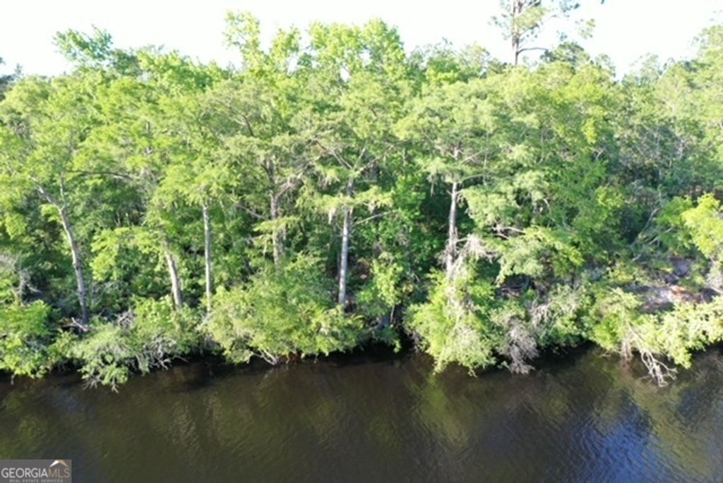 Photo of 891939 Lake Deborah Drive #1 &amp; 2, Folkston, GA 31537 (MLS # 10767404)