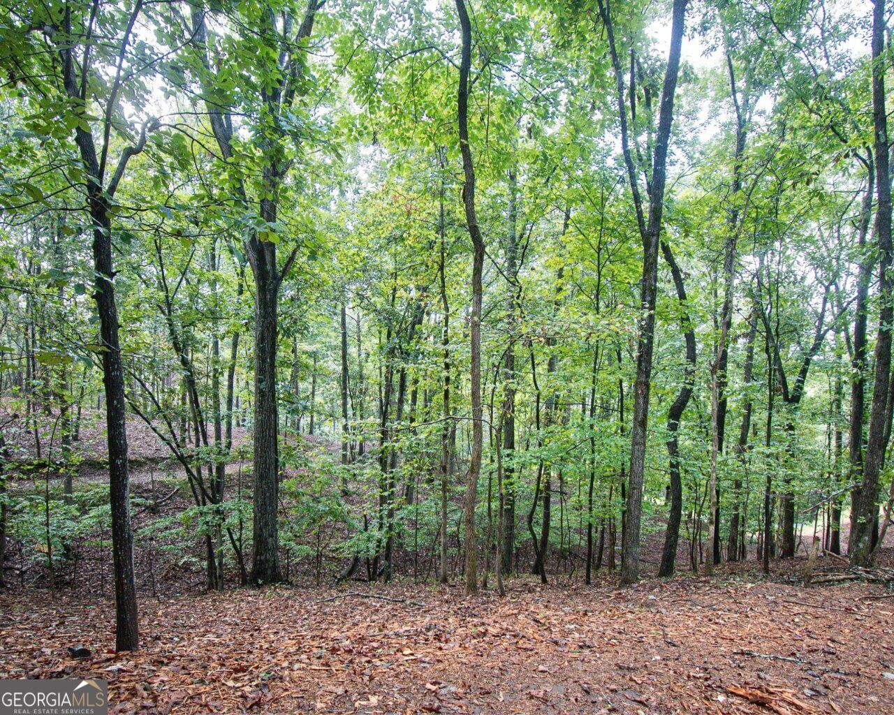 480 Pin Hook RD