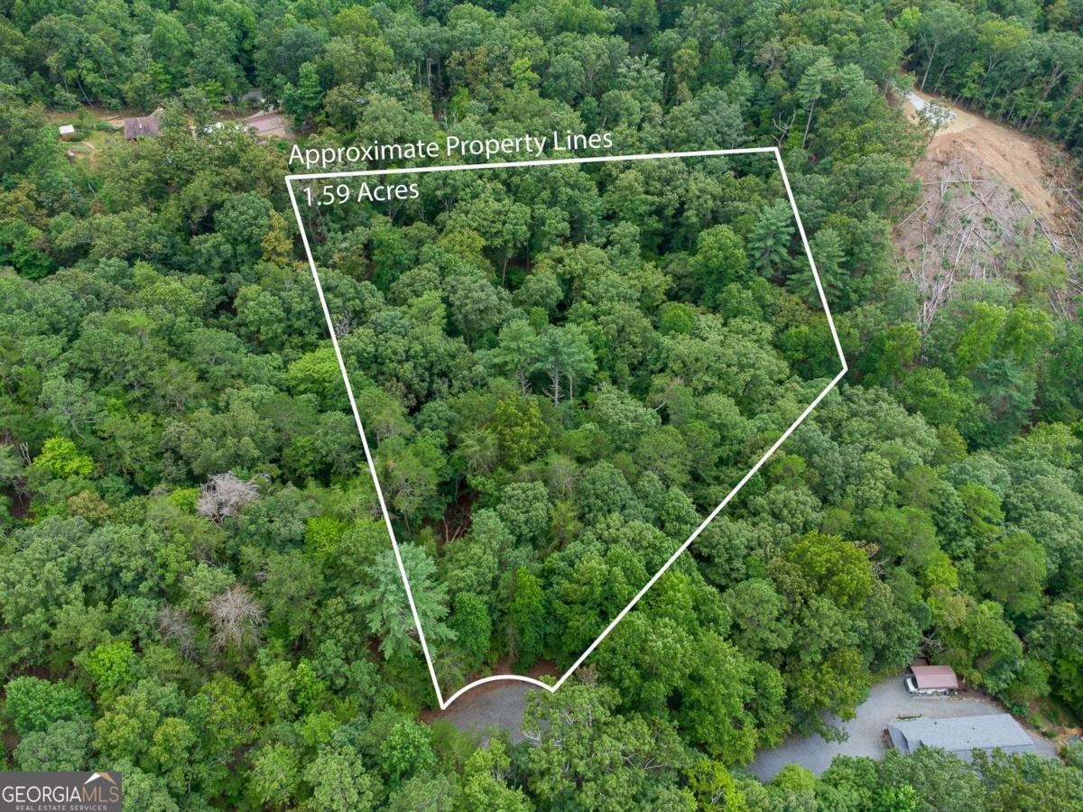 372 Emerald Springs LN