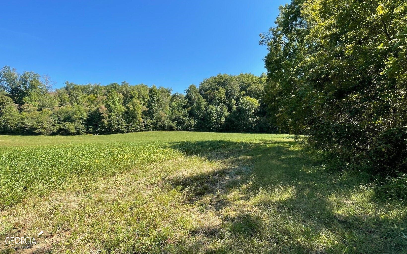 37+ ACRES Jarrett RD