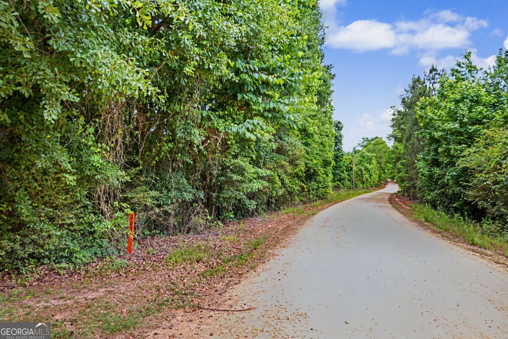 Photo of 0 Perkins Road, Barnesville, GA 30204 (MLS # 10770855)