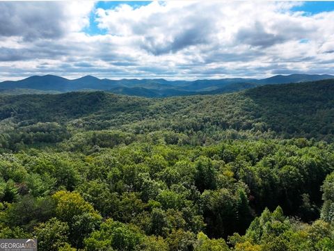 LOT 10 Papa Bear PATH Cherry Log GA 30522