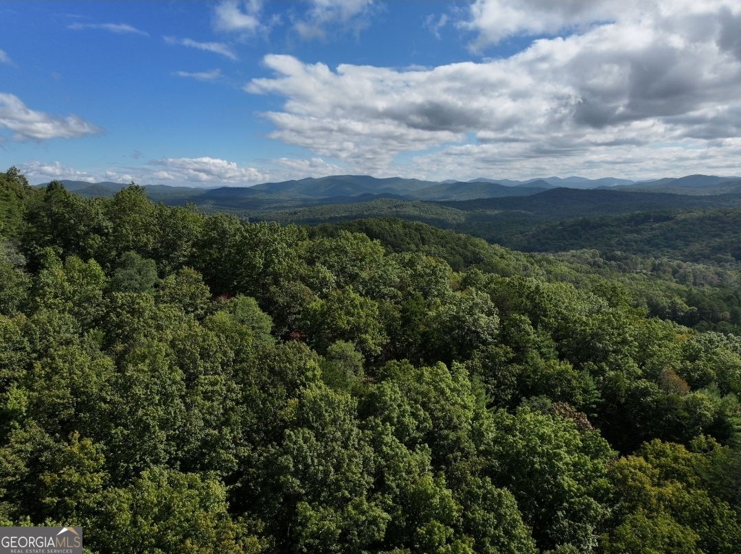 LOT 10 Papa Bear PATH