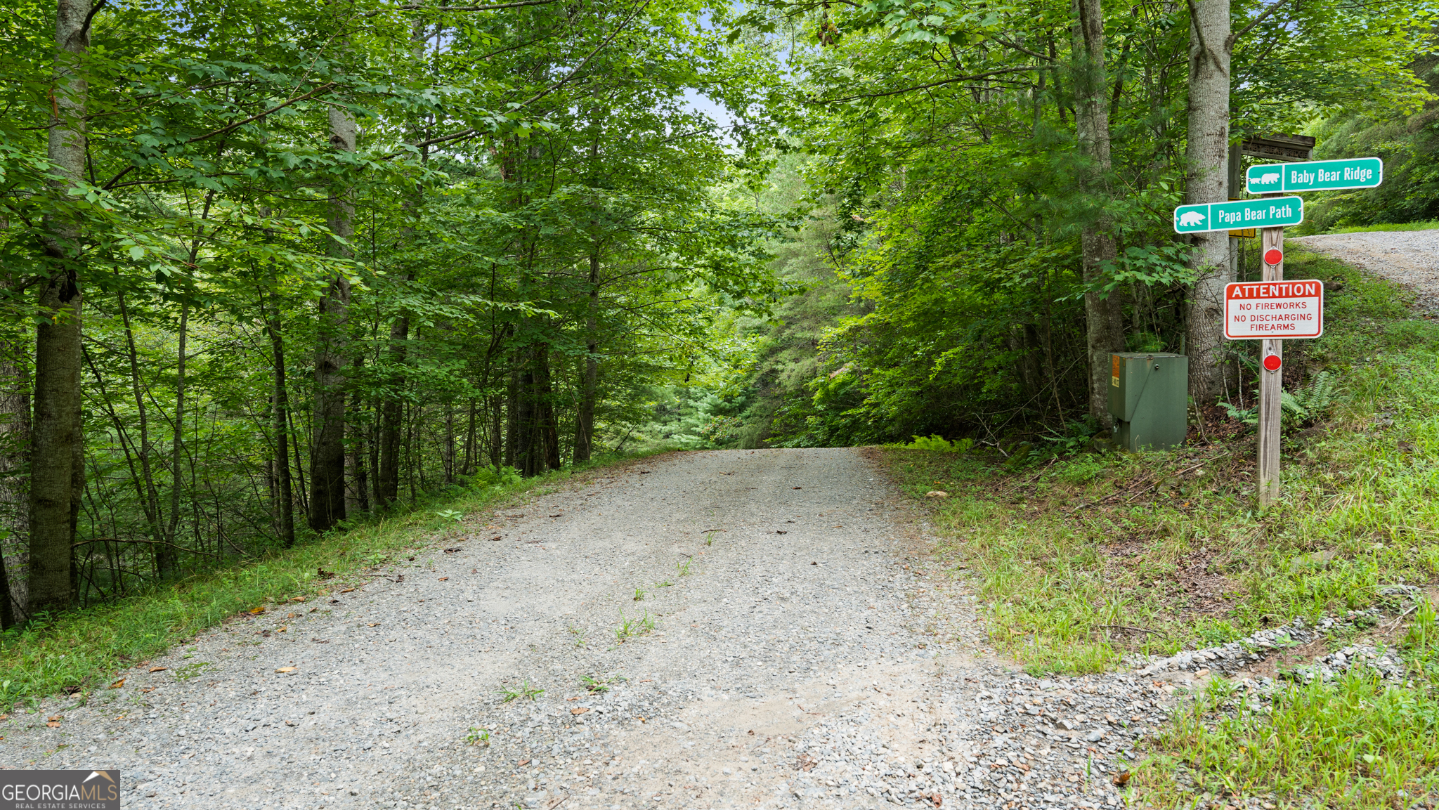 LOT 10 Papa Bear PATH