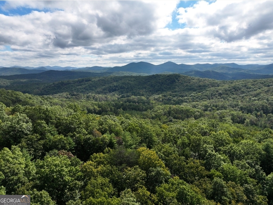 LOT 10 Papa Bear PATH