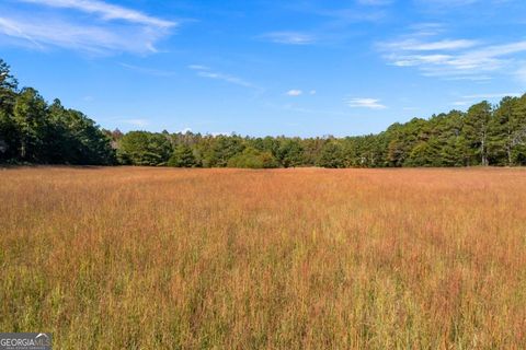 0 Satcher RD Taylorsville GA 30178