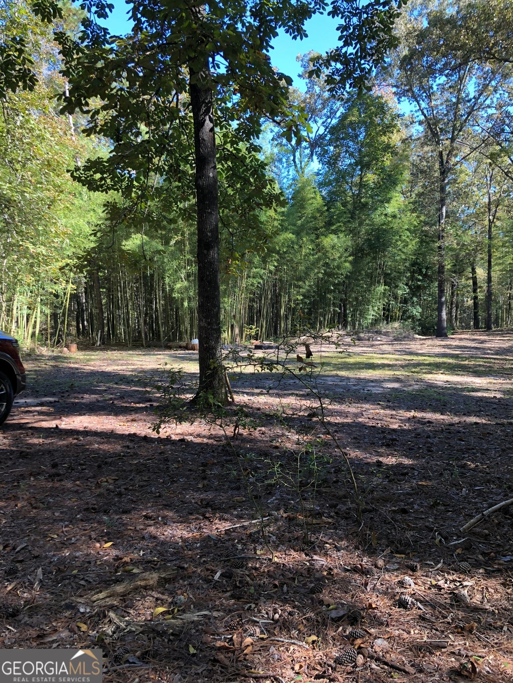 Photo of 215 Webb Street, Warner Robins, GA 31093 (MLS # 10783658)