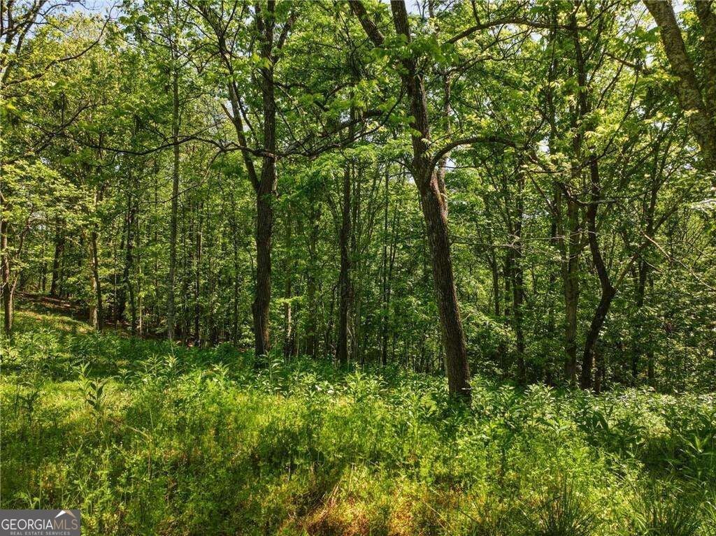 LOT 3 Summit DR