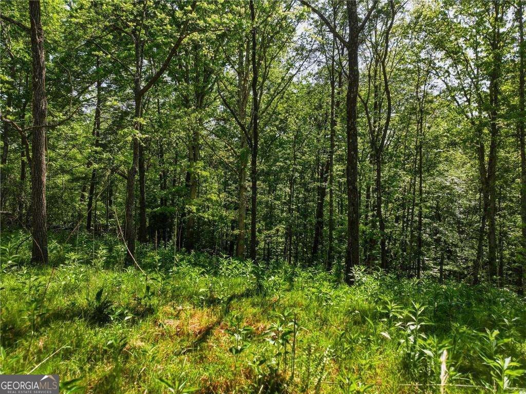 LOT 3 Summit DR