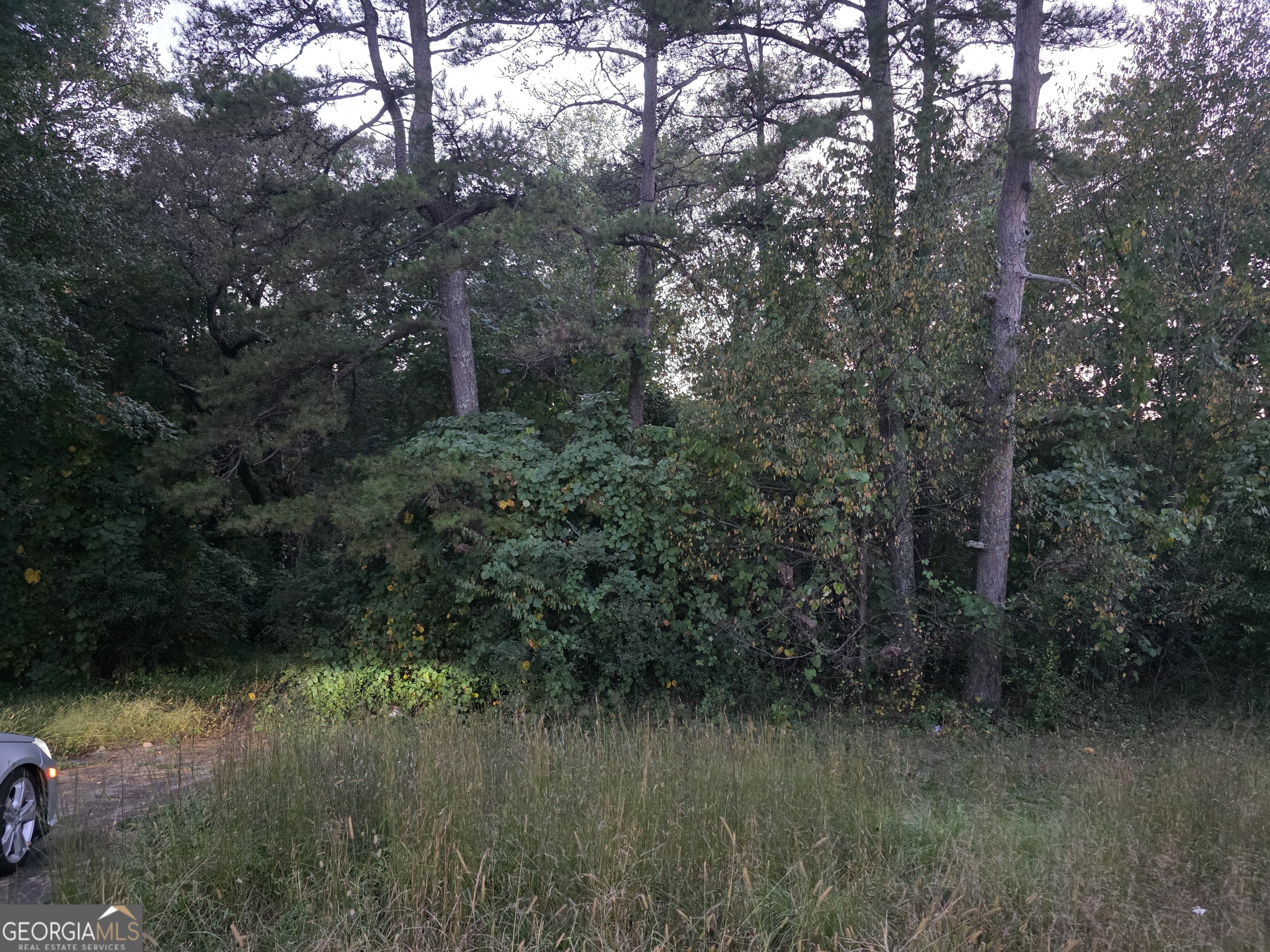 5613 Bogus RD