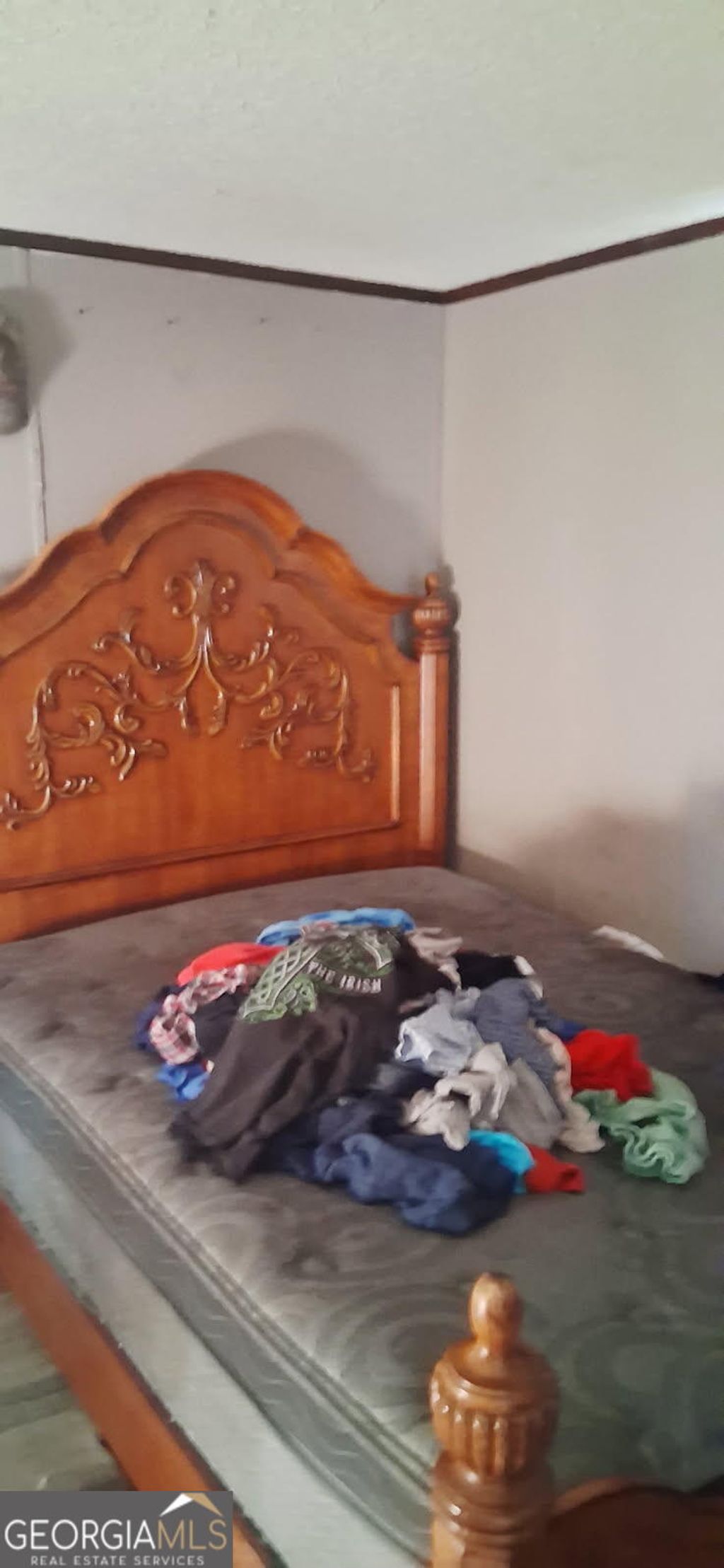 Photo of 139 Joe Stewart Road, Leslie, GA 31764 (MLS # 10681403)