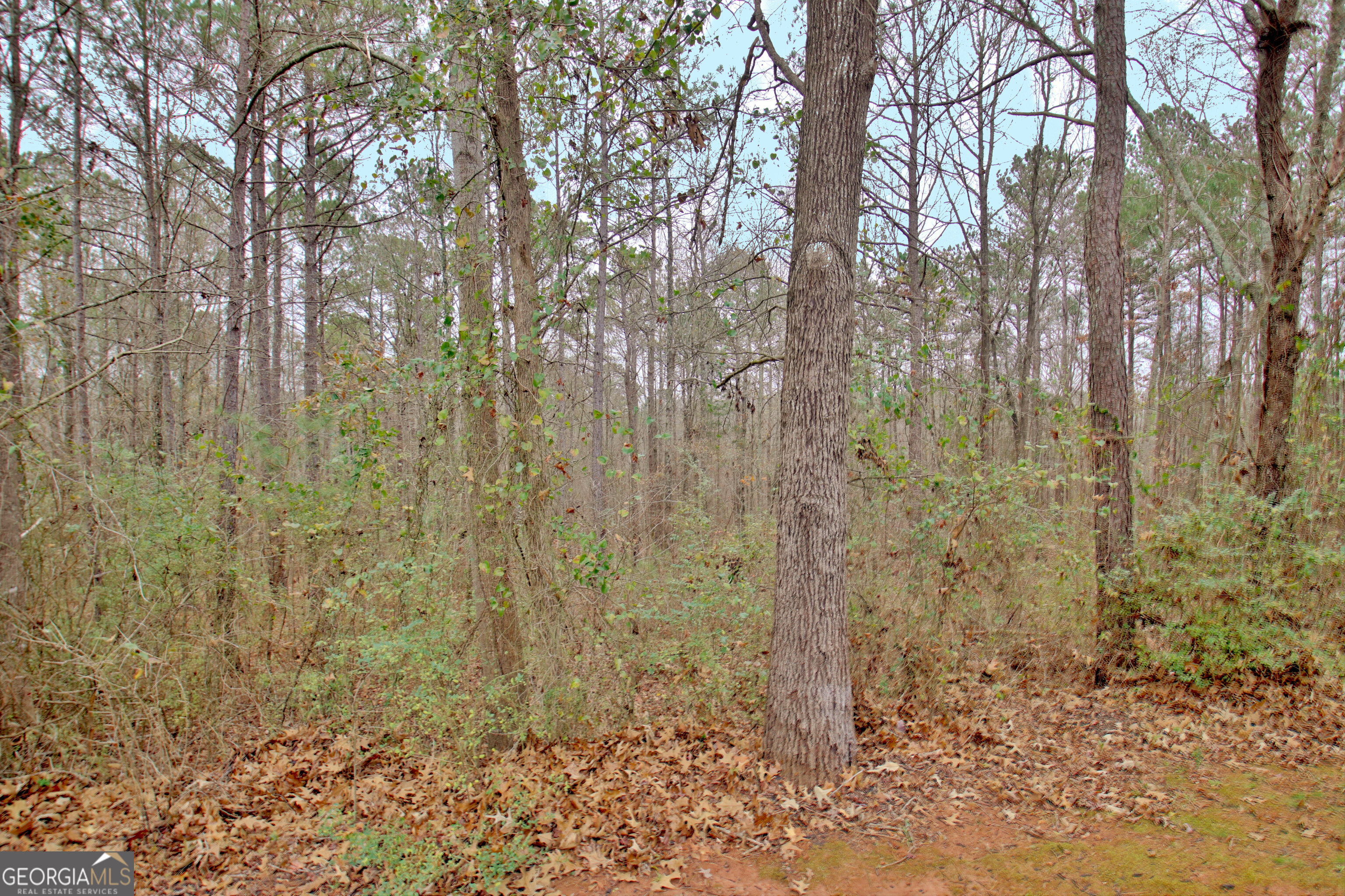 Senoia, Georgia 30276, United States, 3 Bedrooms Bedrooms, ,2 BathroomsBathrooms,Residential,Pending,24109