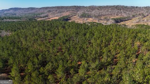 Photo of 0 Gaylor Road, Lyerly, GA 30730 (MLS # 10698163)