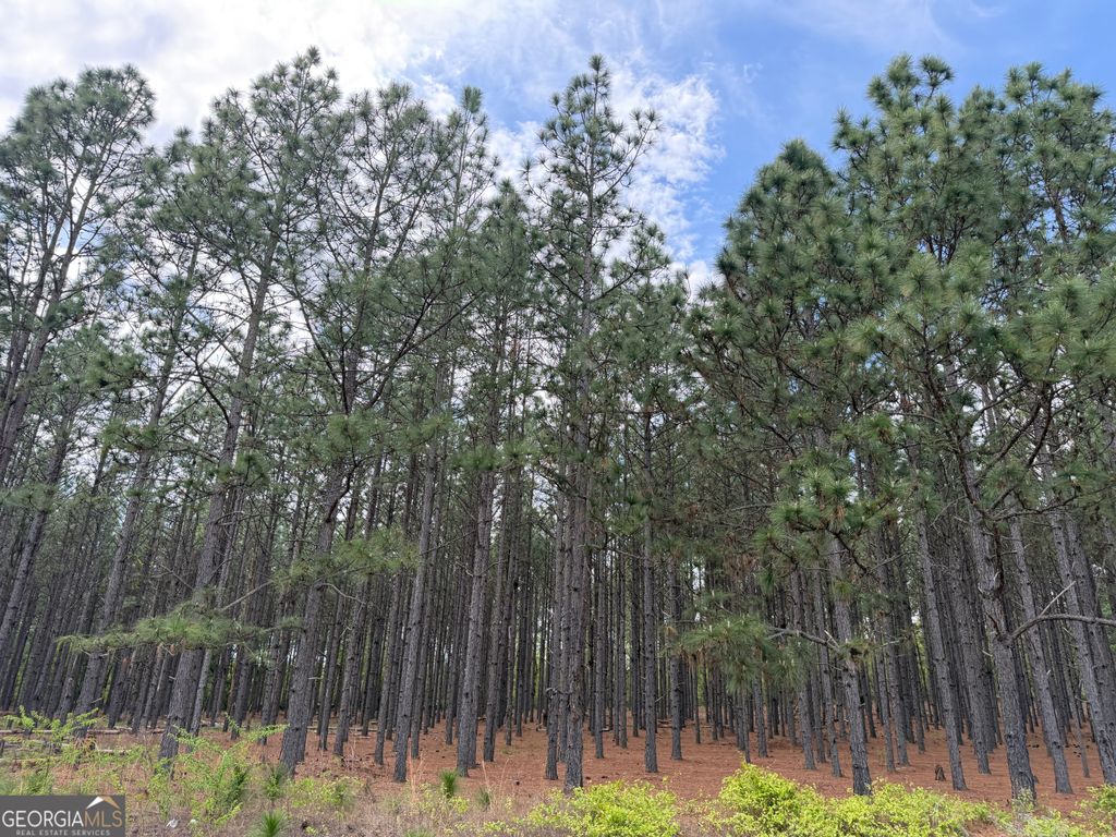 Photo of 12 Barge Road, Lumpkin, GA 31815 (MLS # 10725170)