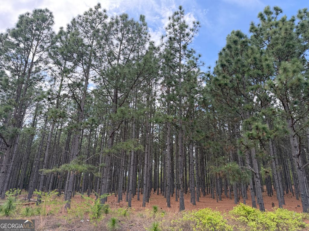 Photo of 12 Barge Road, Lumpkin, GA 31815 (MLS # 10725170)