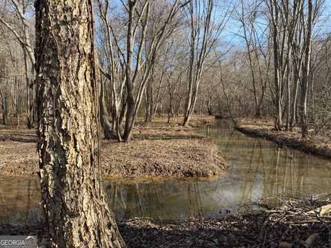 Photo of 0 Neely Road, Sharpsburg, GA 30277 (MLS # 10691613)