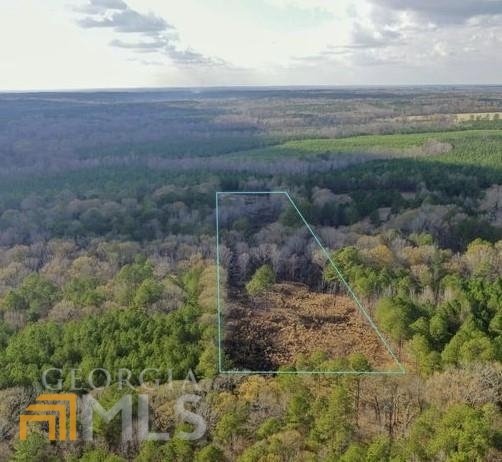 This lot features a beautiful mix of oaks & hardwood. Your dream homesite awaits you on this beautiful private land lot! This lot is approximately 35 miles from Macon/ 55 miles from Atlanta! Some clearing has been done. Approximately 230 ft of easy road access. Reach out today and come visit your new forever home!