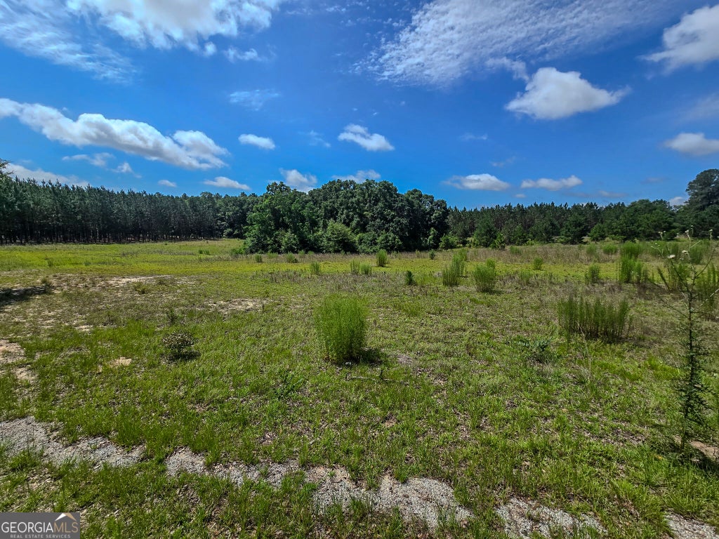 Photo of 0 Village Road, Sylvania, GA 30467 (MLS # 10828913)