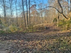 This large lot is in cul de sac in Mountain Creek Subdivision. It is a fabulous place to build your dream home!! It is in the Johnson/Model school district. This neighborhood is super convenient to town.