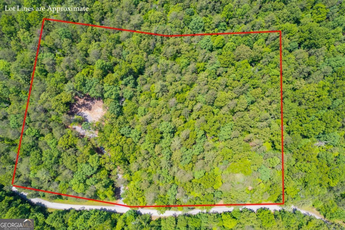 0 POSSUM POKE #29 RD