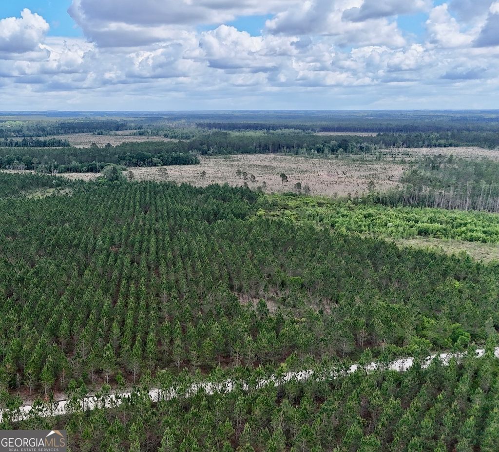 Photo of 26 Owens Road, Odum, GA 31555 (MLS # 10768675)