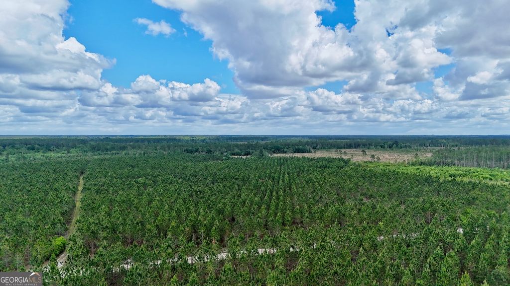 Photo of 26 Owens Road, Odum, GA 31555 (MLS # 10768675)